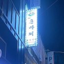 더혼마찌 네이버블로그