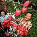 영석농장 이미지