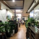 콩나물 노래연습장 이미지