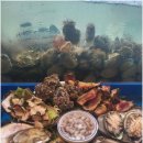 거제자연산회 이미지