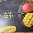 명선월드