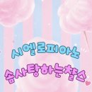 시엘로(cielo) | 시엘로피아노 3주년 후기 🩵 웃음 가득했던 CIELO DAY