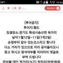 (주)서경투어 이미지