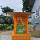 수정벌마야 이미지