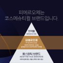 피에르에스테틱