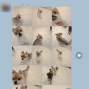 개러리아 이미지