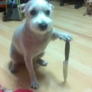 홍천읍사무소 | 조금 늦은 2025년의 마무리