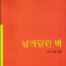 날개달린옷