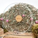 골든엔젤 이미지