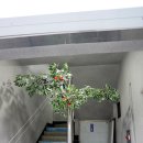 동문당구장 이미지