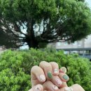 엘로디(Elody) 이미지