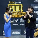 피그월드 이미지