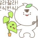 로즈프린팅