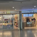 맘모스약국 이미지