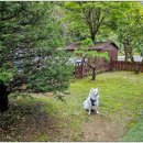 남이섬설리조트3 이미지