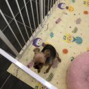 개릿뷰티 이미지