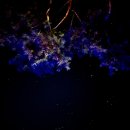 미미하우스 이미지