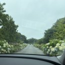 장춘해변횟집 | 황남빵은 제주도에서 돌아갈 직장을 잃어