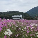바람 부는 대로 물 흐르는 대로 이미지