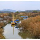 포구나무민박 이미지