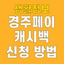서강화농협 내가주유소 | 경주페이 신청 캐시백 사용처 가맹점 10월 주유소