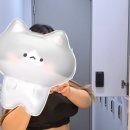 필의원 | [홍대] 홍대입구 제이필의원 컷주사 후기 | 하복부·옆구리 500cc 시술 경험담