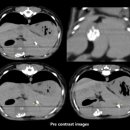 프라임 동물병원 앞 이미지