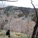 제주 선흘리 거문오름 이미지