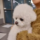 오랑개 용인흥덕점 이미지