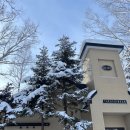 마시마을앞 | [3박4일 🇯🇵삿포로 2일차♡] 1월 비에이 투어 후기 | 비에이 날씨 | 야키니쿠 시부키 | 삿포로 스스키노...