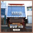 미나리광시장 | 경기도 수원 &lt;팔달문 시장&gt; 짧은 사진촬영 후기. 시장투어 해보자