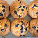 25.04.09(수)야간보호 간식 블루베리 머핀 이미지