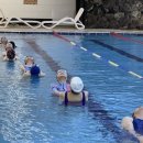 노블레스 이미지