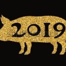 마곡수명검도관 이미지