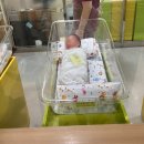 새보람약국 | 울산 보람병원 제왕절개 VVIP실 1인실 출산 리얼 후기