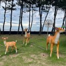 난타기초(야간) 이미지