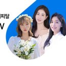 ㈜플러스렌터카 이미지