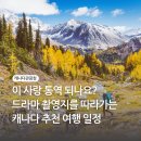 에비뉴 안경원 3지구 정원점 | 이 사랑 통역 되나요? 드라마 촬영지를 따라가는 추천 여행 일정