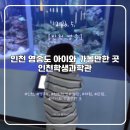 인천국제고등학교 | [인천 영종] 아이와 가볼만한 곳, 인천학생과학관 무료 실내 체험 과학관 후기