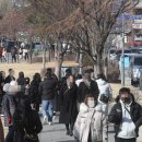 줄줄이분식 이미지