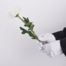 삼수갑산 이미지