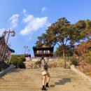 홍의청소년수련원 | 구암서원 대구 가볼만한 곳 추천 / 대구한주살이 / 대구야경명소 / 미디어파사드 / 대구체험하기