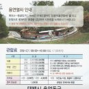 태백로 | 태백 용연동굴 아이와 가볼만한 곳 헬멧 필수! 실제 박쥐 본 동굴 탐험 후기