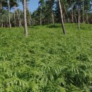 이태근농가 이미지