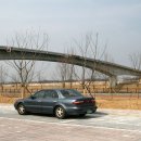 아라파크 이미지