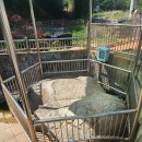 창원 청룡대 각석 이미지