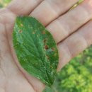 혜영농장 이미지