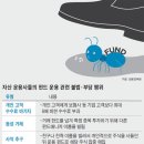 쌈짓돈 조선비즈