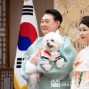 현스크린골프클럽 이미지