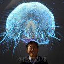 한국곤충연구소 이미지